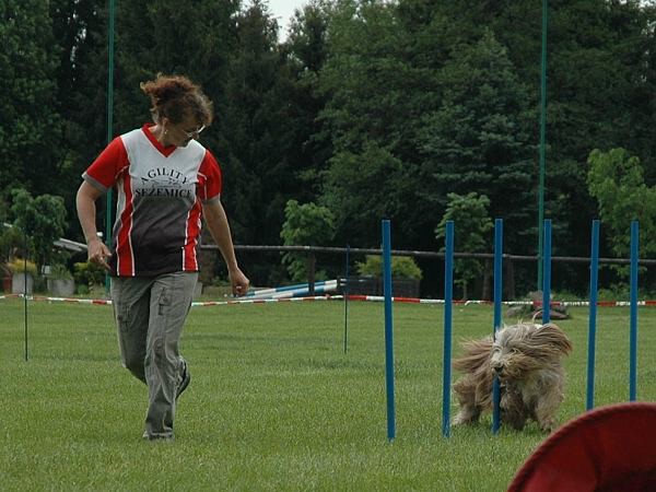 Extreme Agility víkend - sobota
