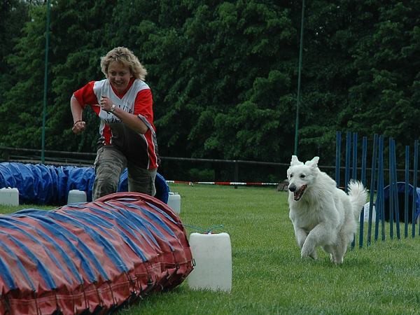 Extreme Agility víkend - sobota